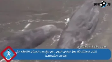 زلزال كامتشاتكا يهز اليابان اليوم.. كم بلغ عدد الحيتان النافقة التي اجتاحت الشواطئ؟
